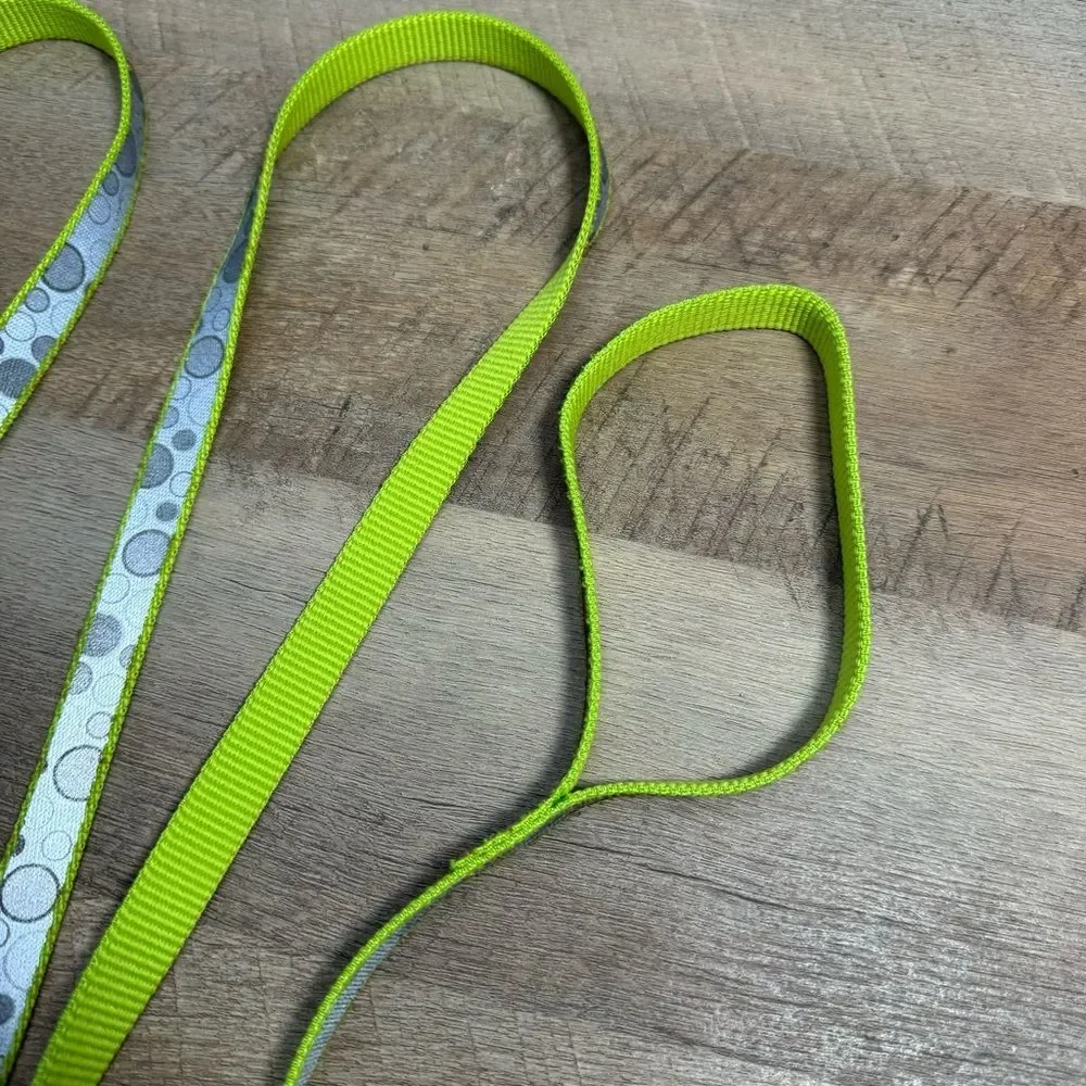 Green Reflective Dog Leash